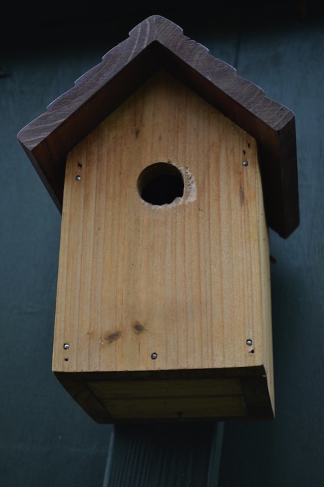 Nest box